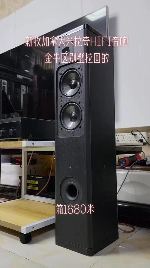 出口加拿大的音响
