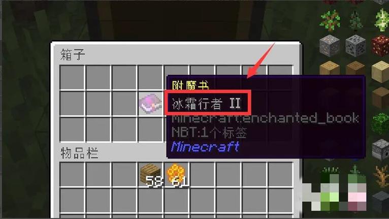 mc冰霜行者