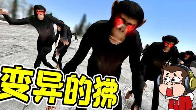 行为怪异但智商没问题