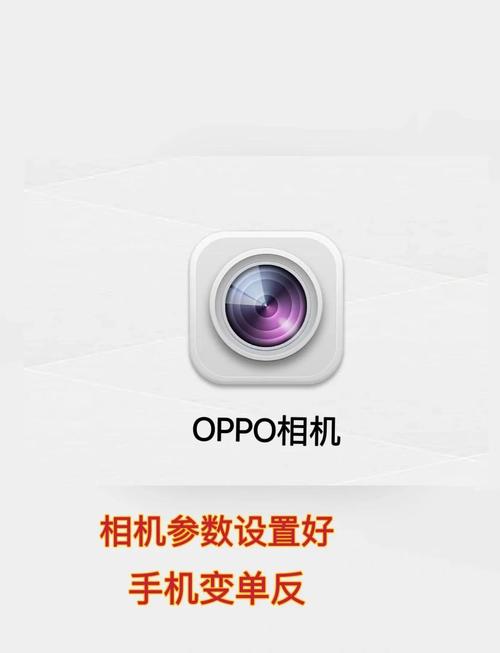 oppo闪拍功能截图3