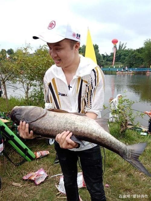 玩开心钓钓鱼