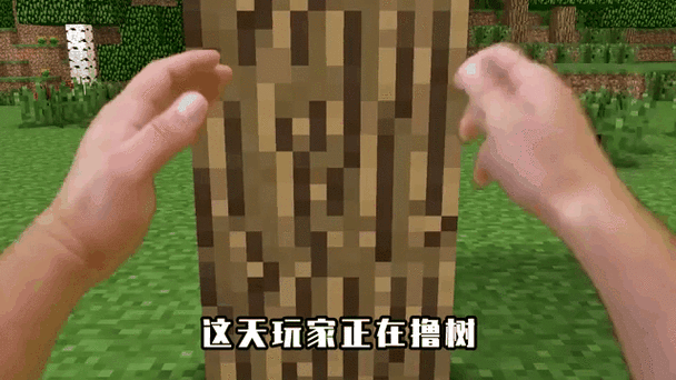 我的世界如何一下子弄一大排