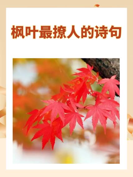 霜叶红于二月花的上一句