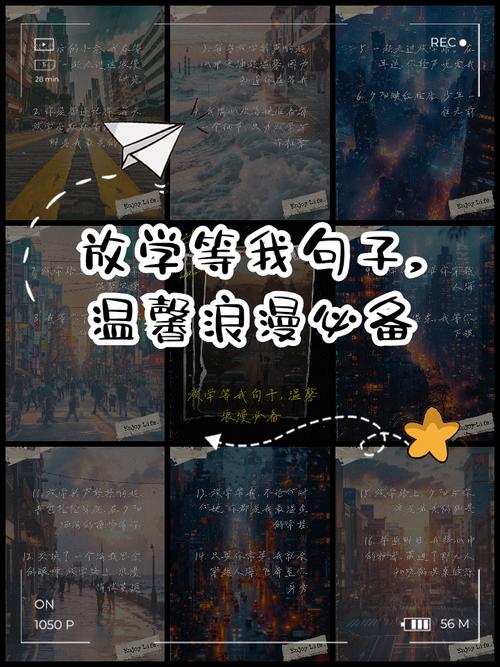 放学后的经典句子