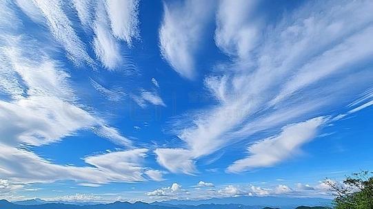天空视频最新版下载