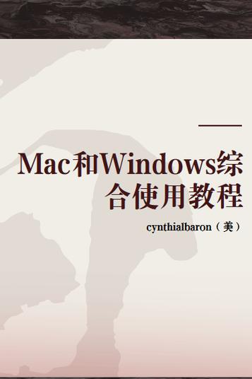 苹果电脑怎么装window系统截图3
