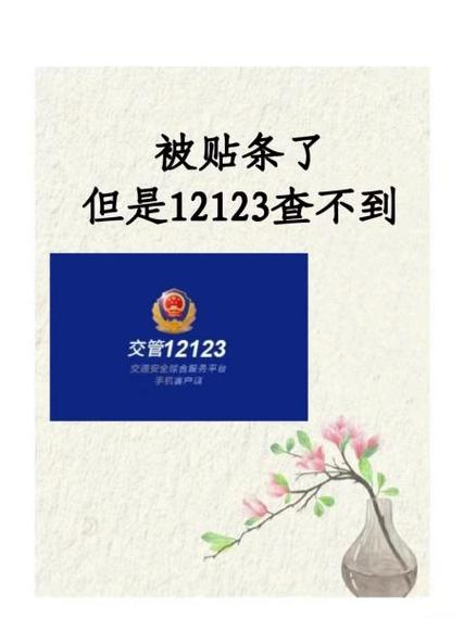 12123查不到没戴头盔