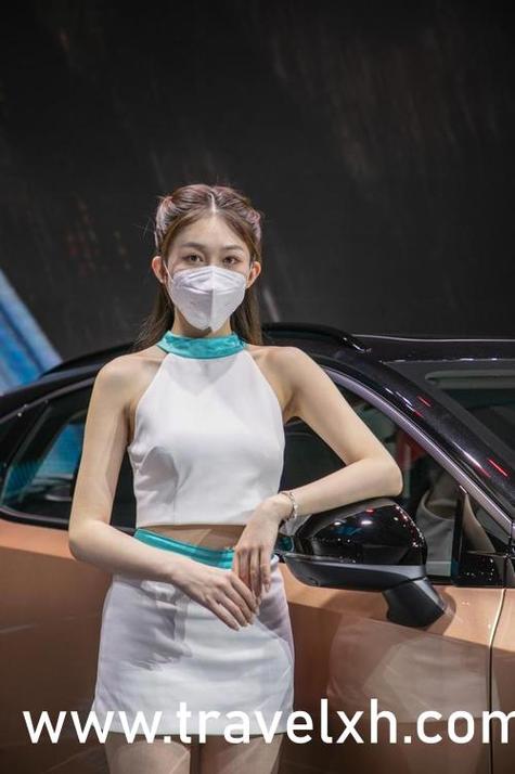 杨家洼的情事 小说全文阅读