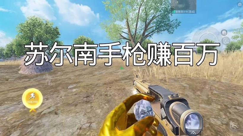 《臭猫扫号日记》