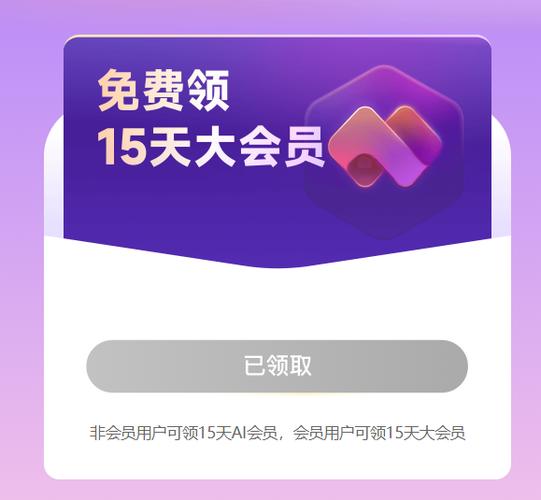 大会员后面怎么有数字