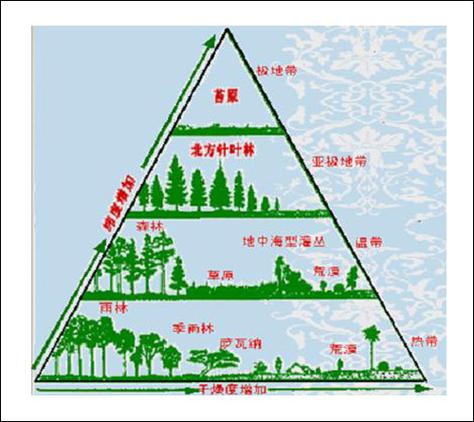 生态指的是什么意思
