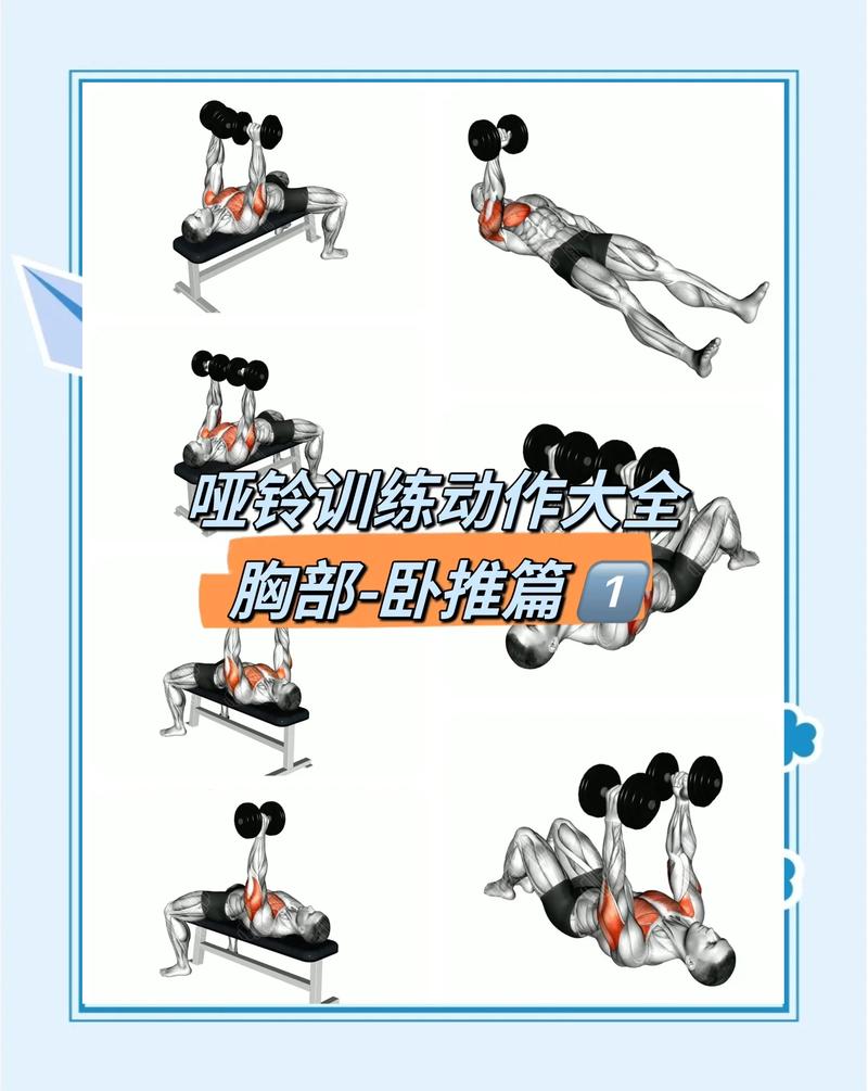 完美肌肉锻炼指南安卓版
