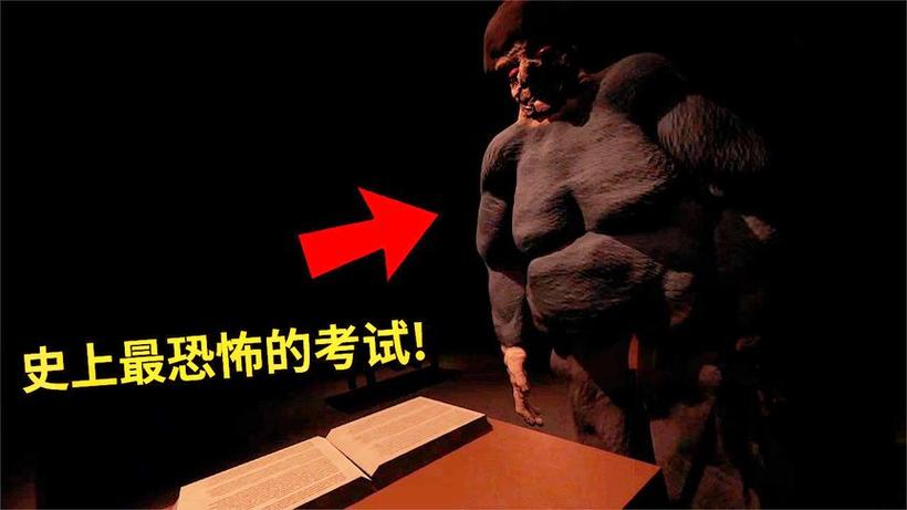 第五人格薄海纸鱼yu解说