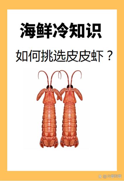 皮皮虾的好处