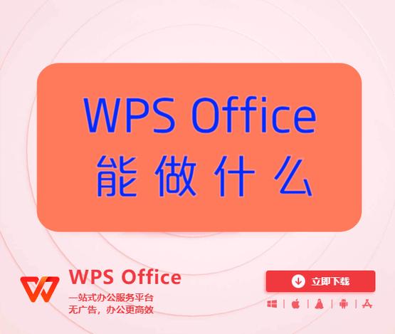 WPS服务是什么意思