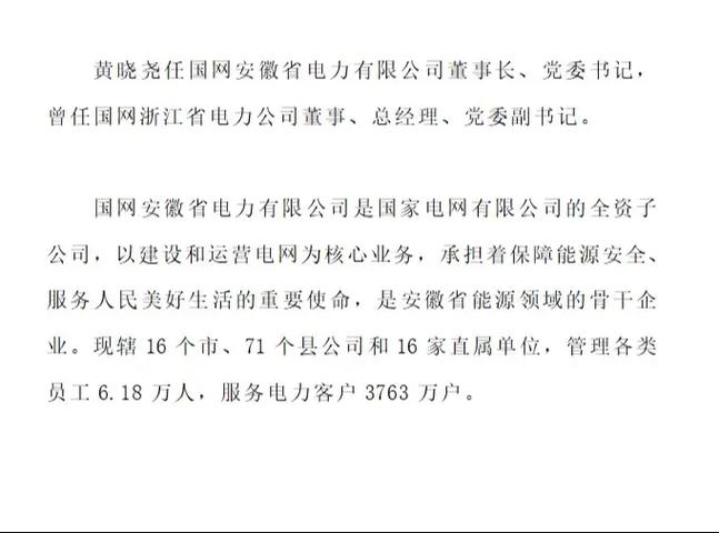 国网安徽电力董事长