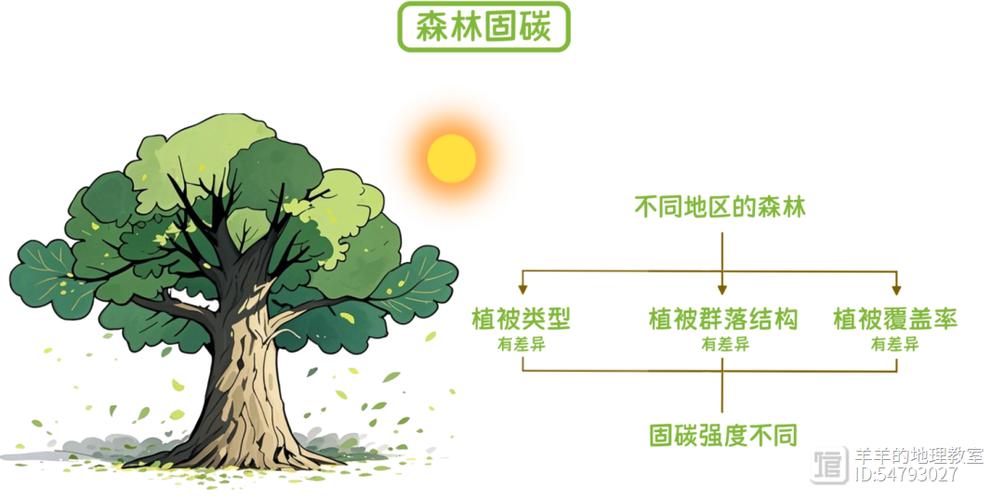 森林的环保功用