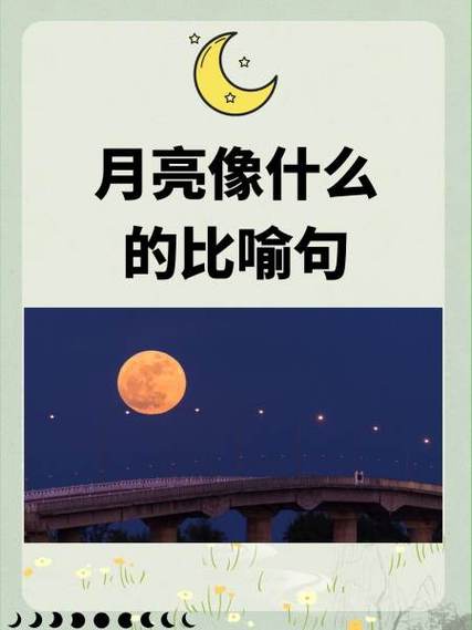 月亮六年级阅读短文答案