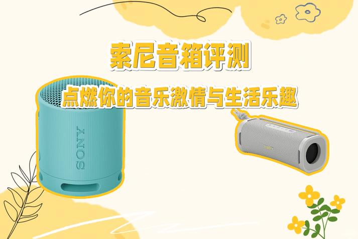索尼SS—LB355V音箱
