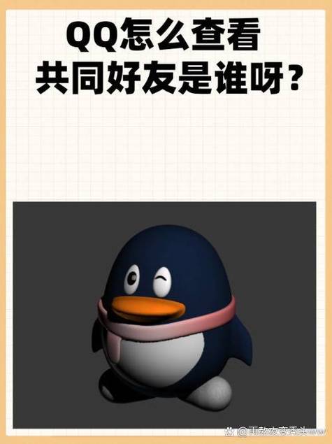 qq怎么看好友来源