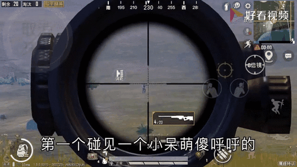 和平精英狙击队什么意思