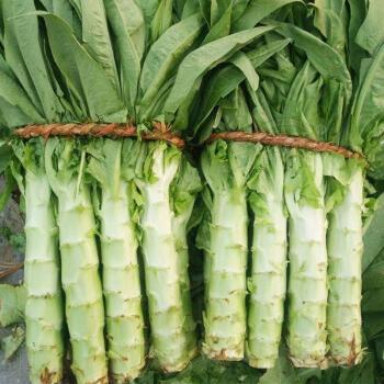 绿色蔬菜图片