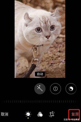 下载并保留原片