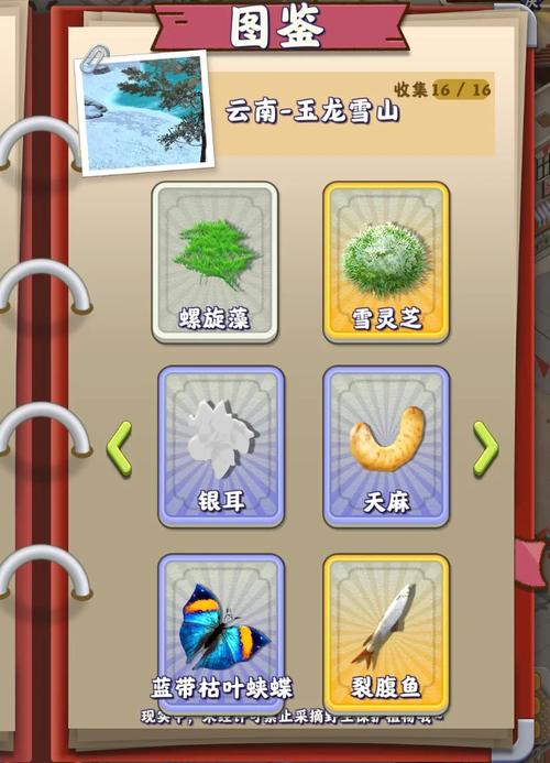 夺笋高手内置功能加强版