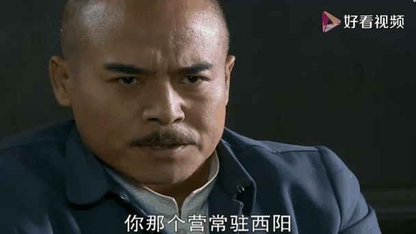 赵舒城最后回西阳了吗