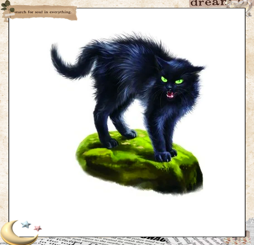 猫武士下载