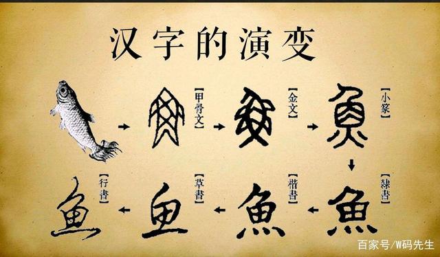 文用来表意的是