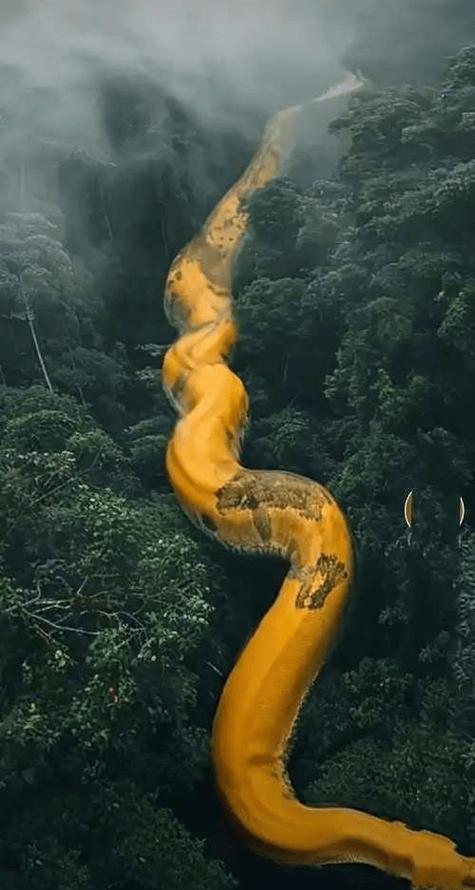 蟒蛇