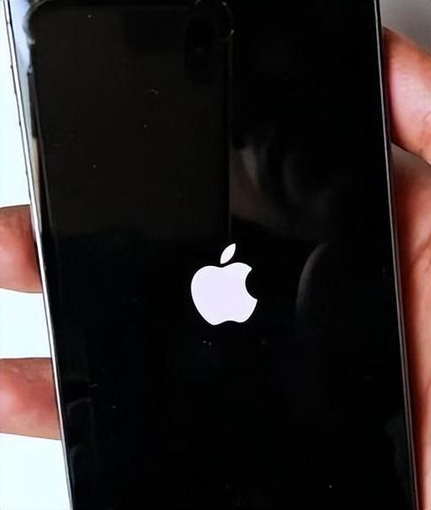 苹果手机死机黑屏开不了机