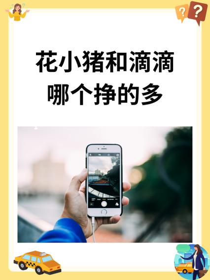 花小猪第三方服务怎么关截图2