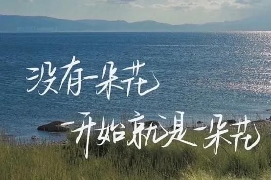抖音发朋友圈的文字