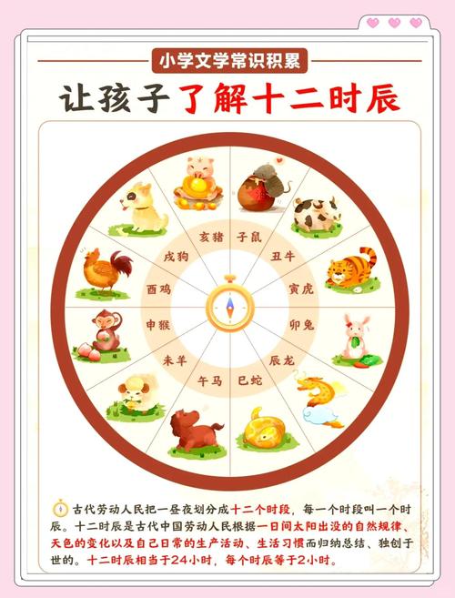 熊出没上映时间排序