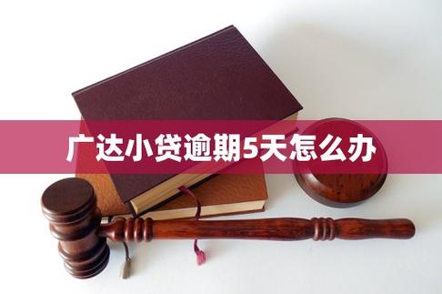 广达小贷.是什么
