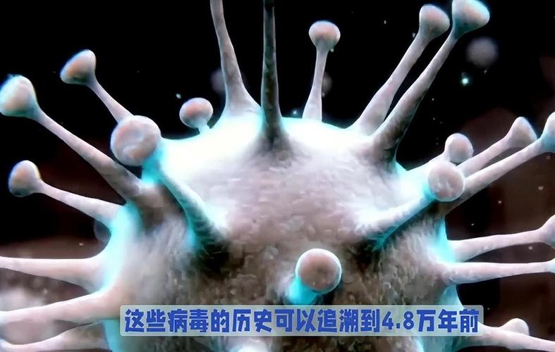 大海解说僵尸病毒生存截图3