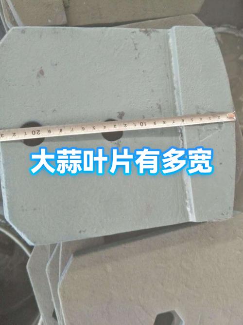 一种叶子很宽的大蒜叫什么