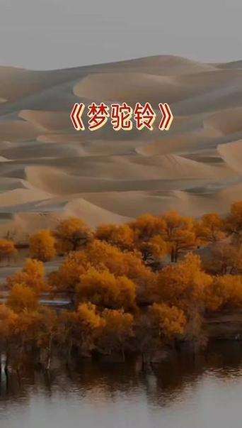 梦驼铃原唱最原始的唱