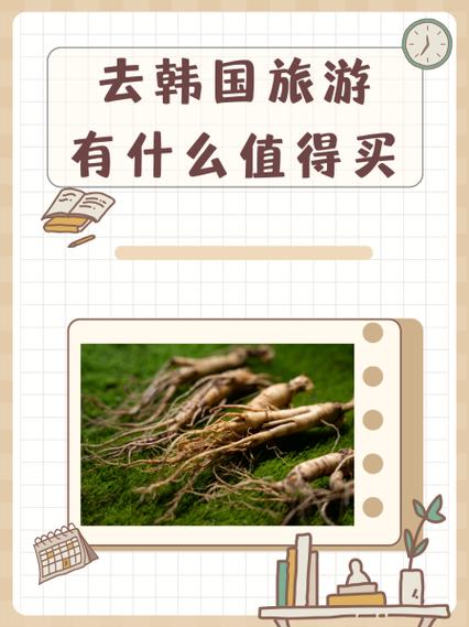 为什么禁止韩国旅游