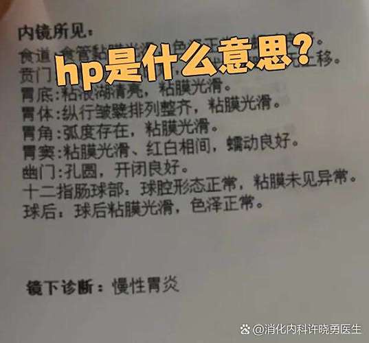hpg是什么的缩写
