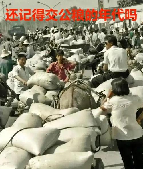 别问价格贵下一句最精辟
