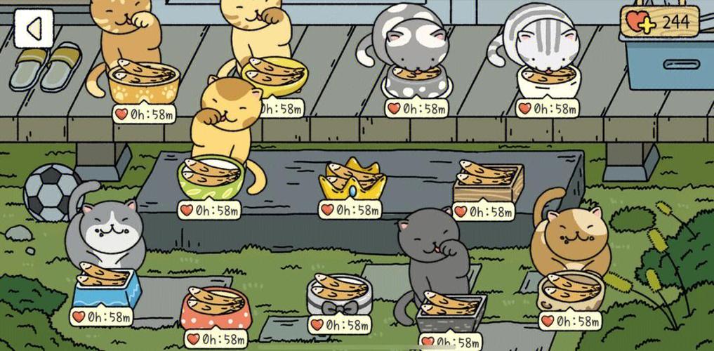 小猫的全部游戏