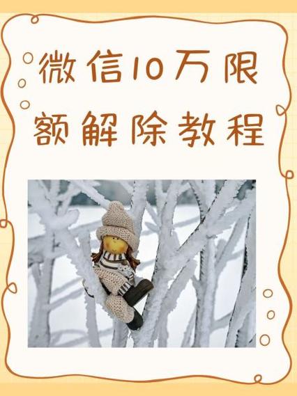 微信支付10万解除限额截图2