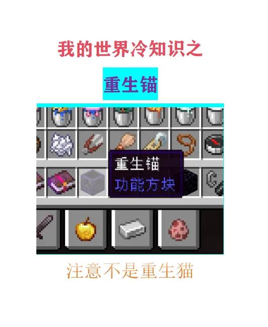 我的世界100条冷知识