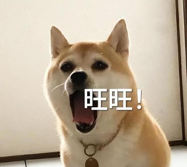旺旺狗图片