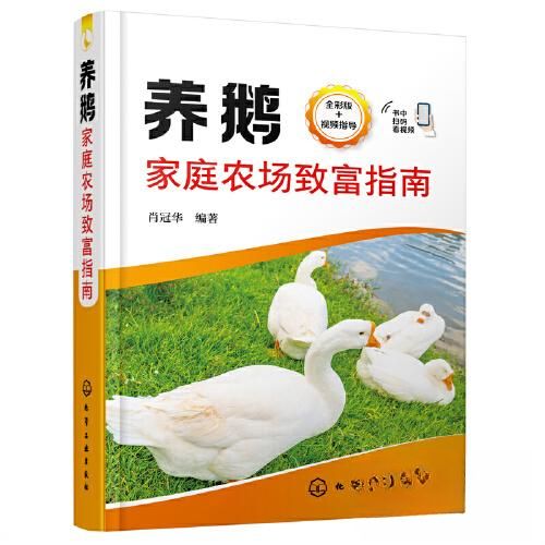 养大鹅一年能挣多少钱
