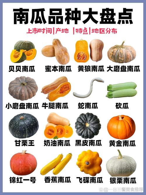 南瓜别称介绍