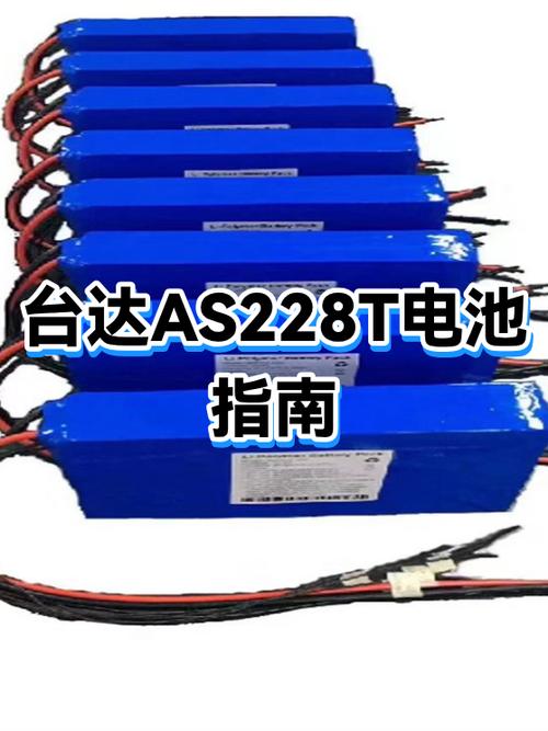 话筒充电电池哪个品牌好
